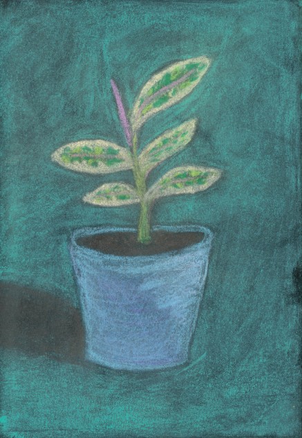 Artwork by Ashley B. - Washington