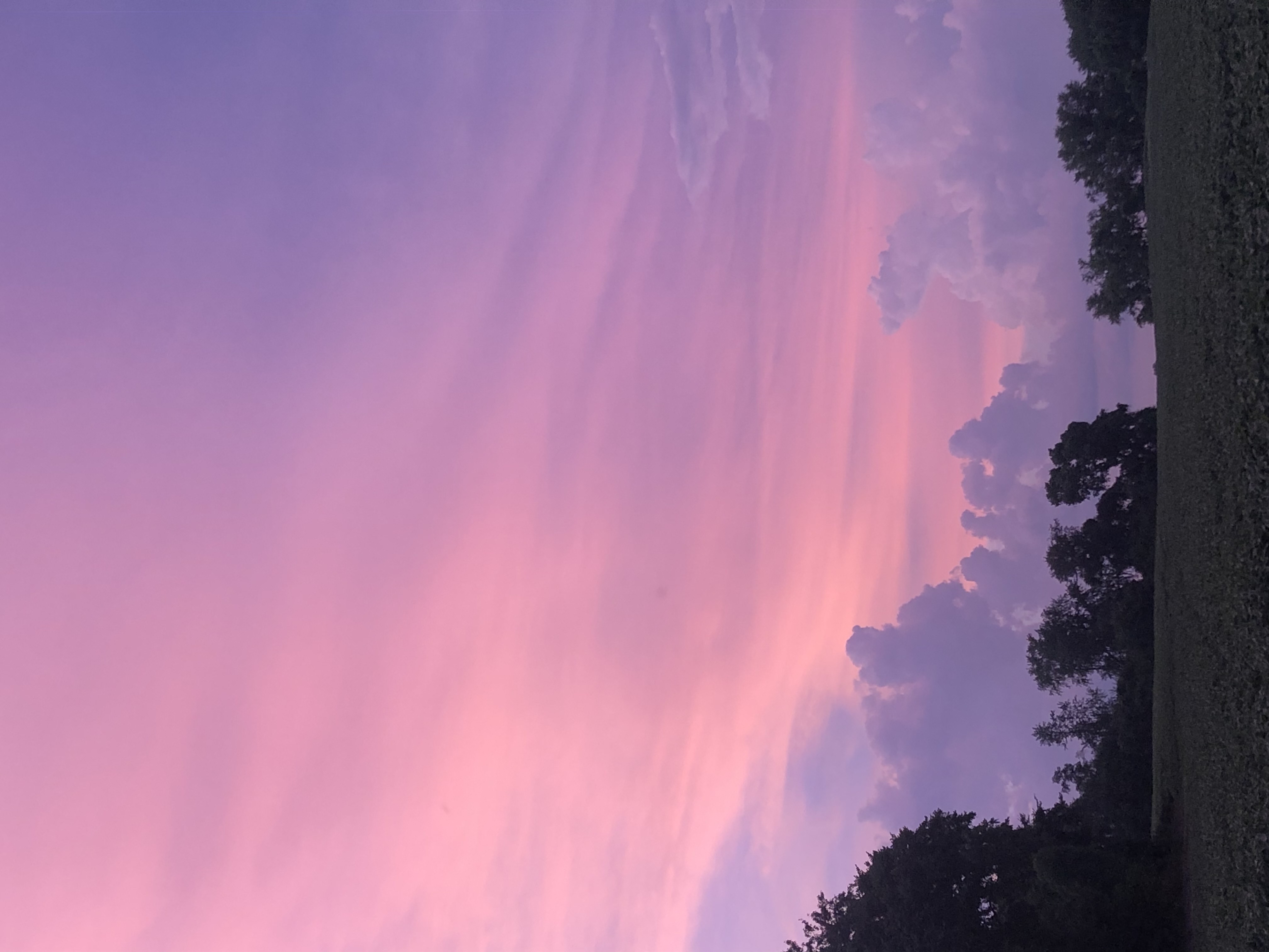 Artwork by Evelyn C. - Illinoisa