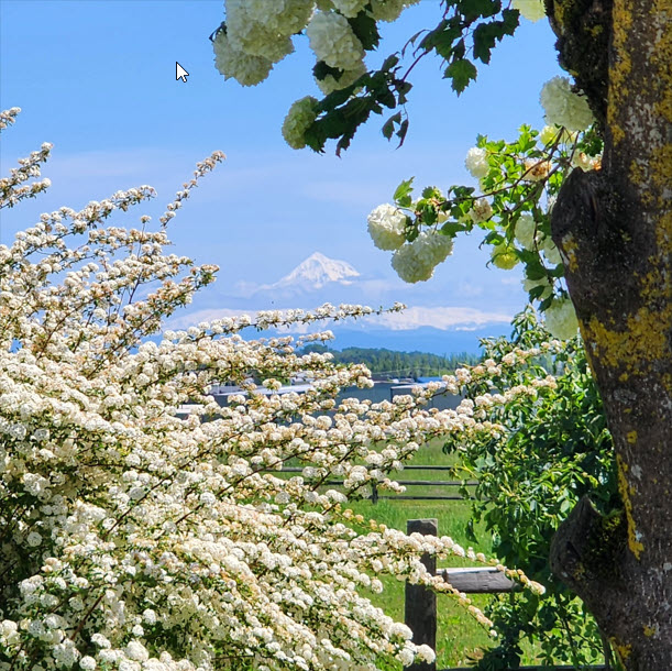 Artwork by Janice D. - Washington