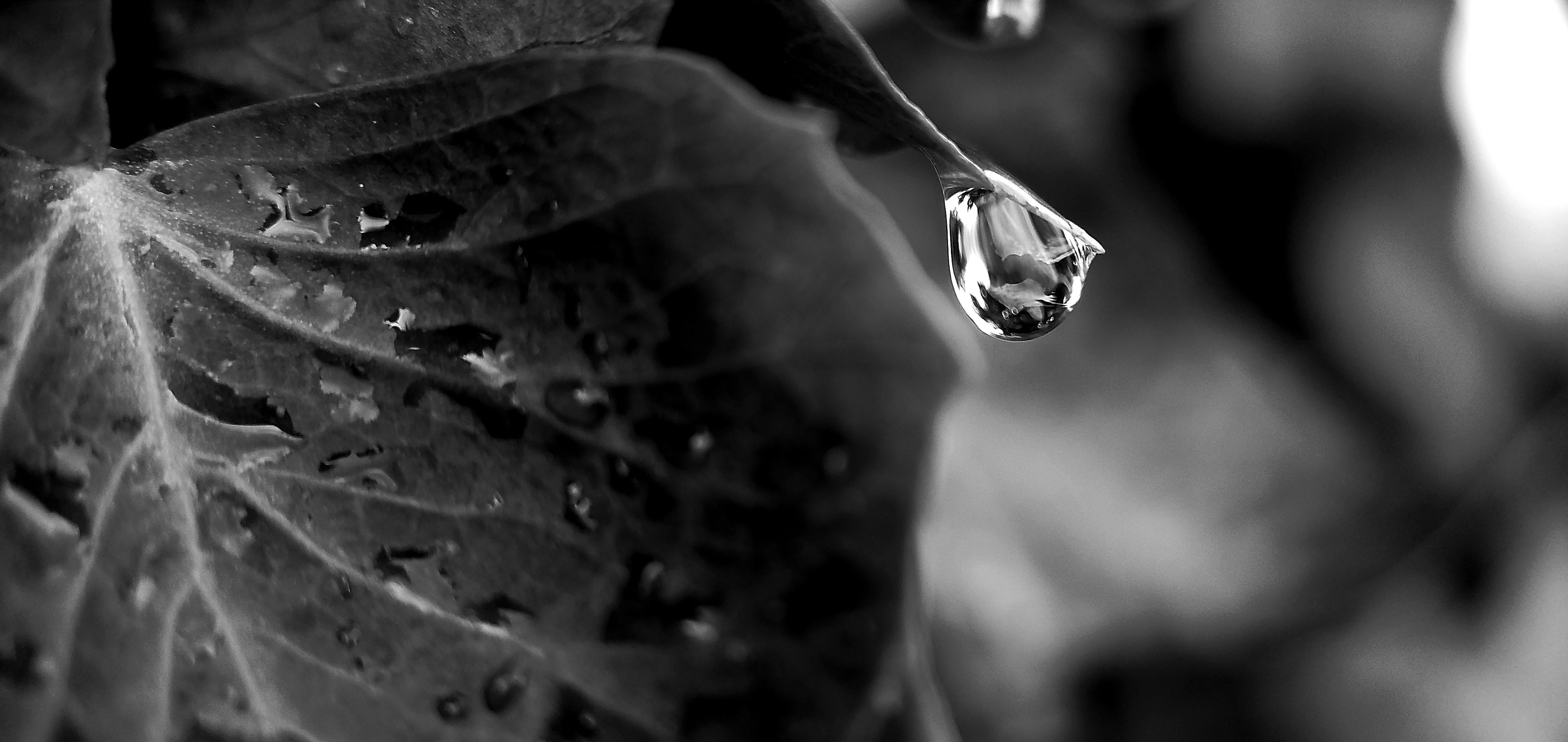 Artwork by Kit Q. - New Mexico