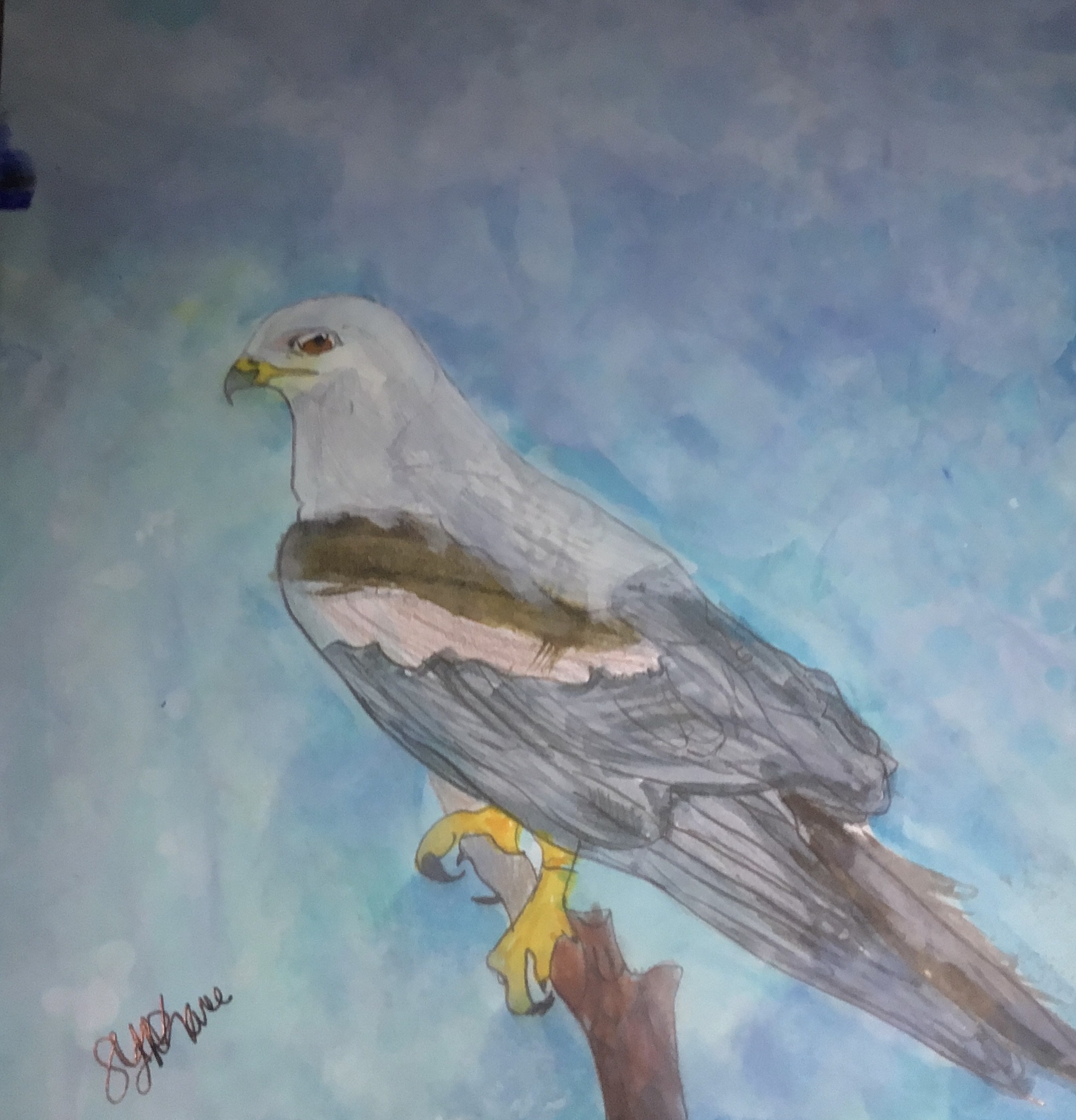 Artwork by Leona T. - Michigan