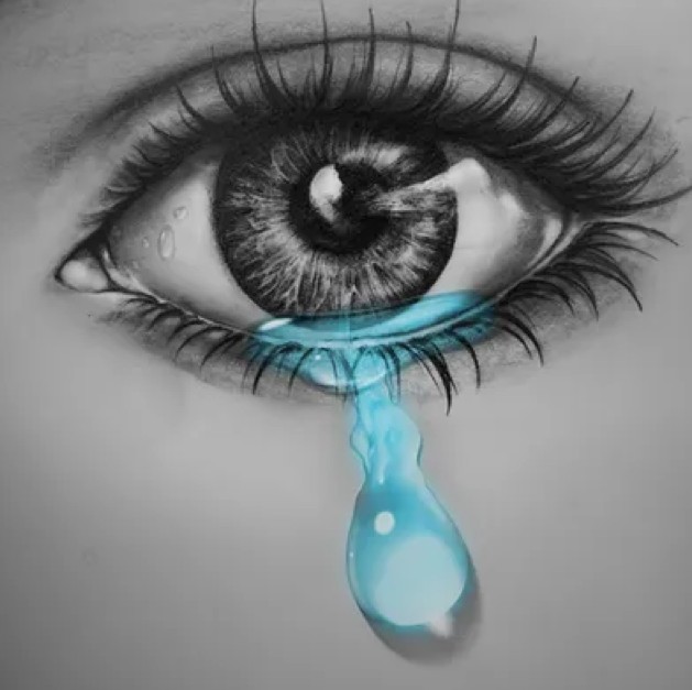 Artwork by Nicole C. - Virginia