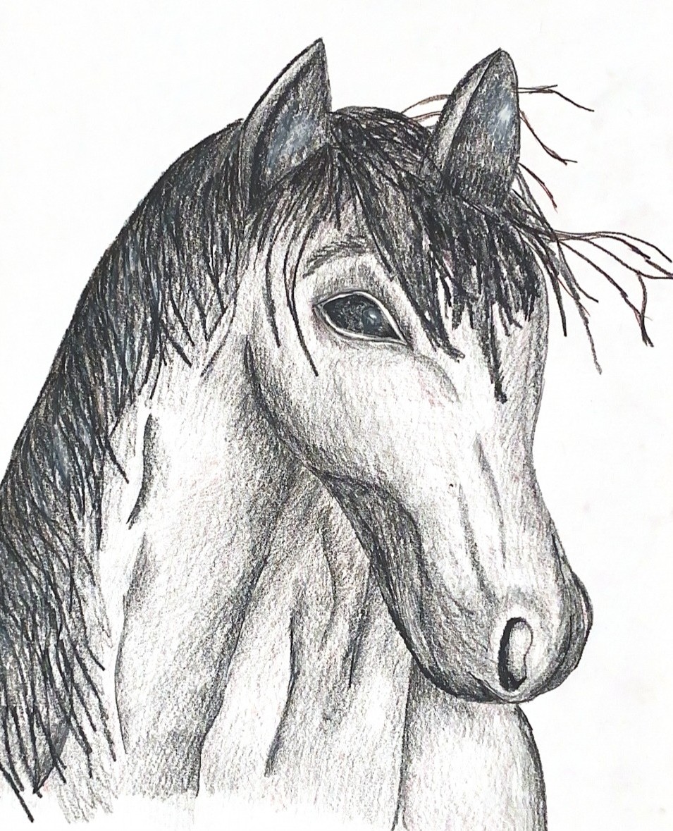 Artwork by Shannon S. - Florida