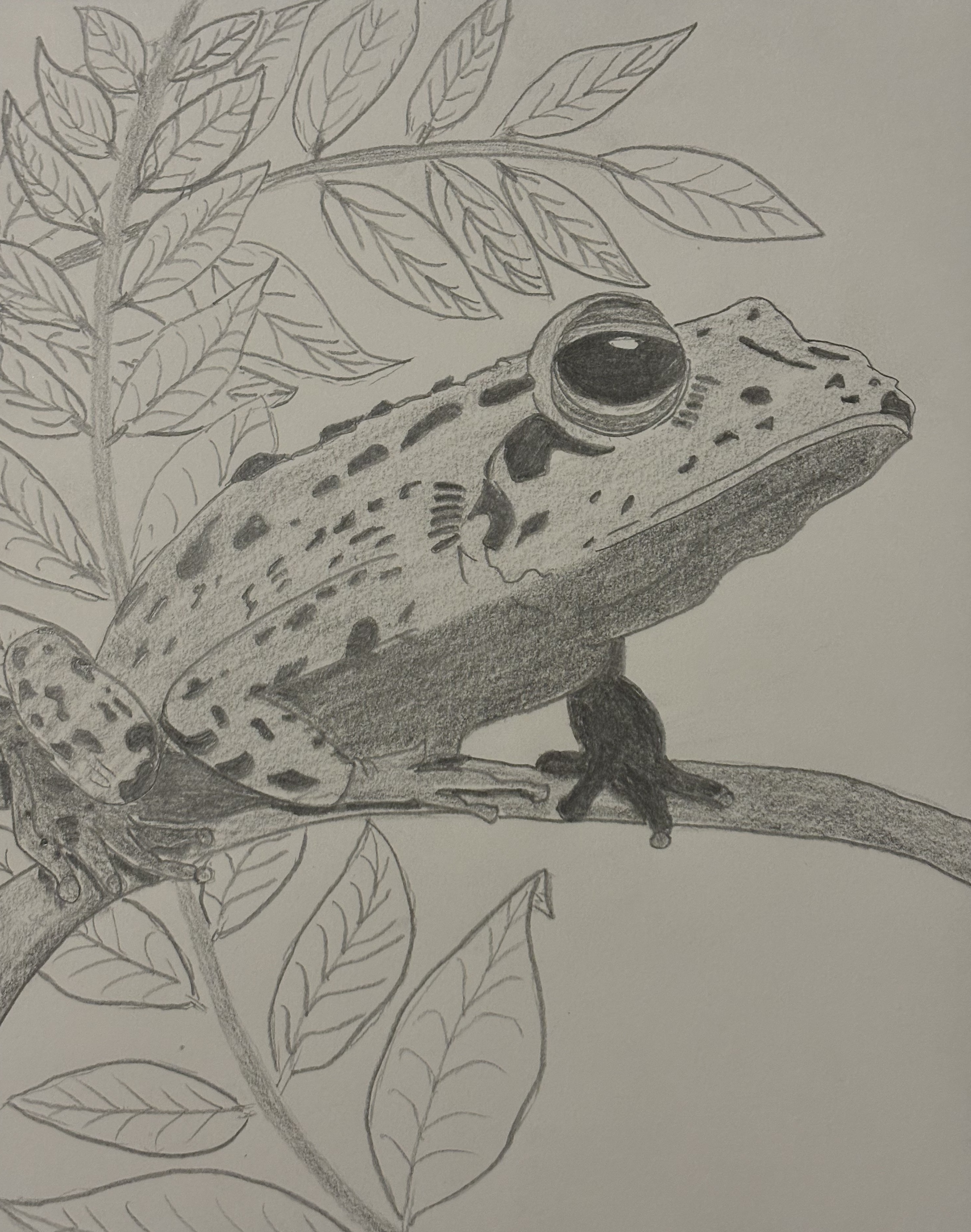 Artwork by Shem TJ J. - Texas