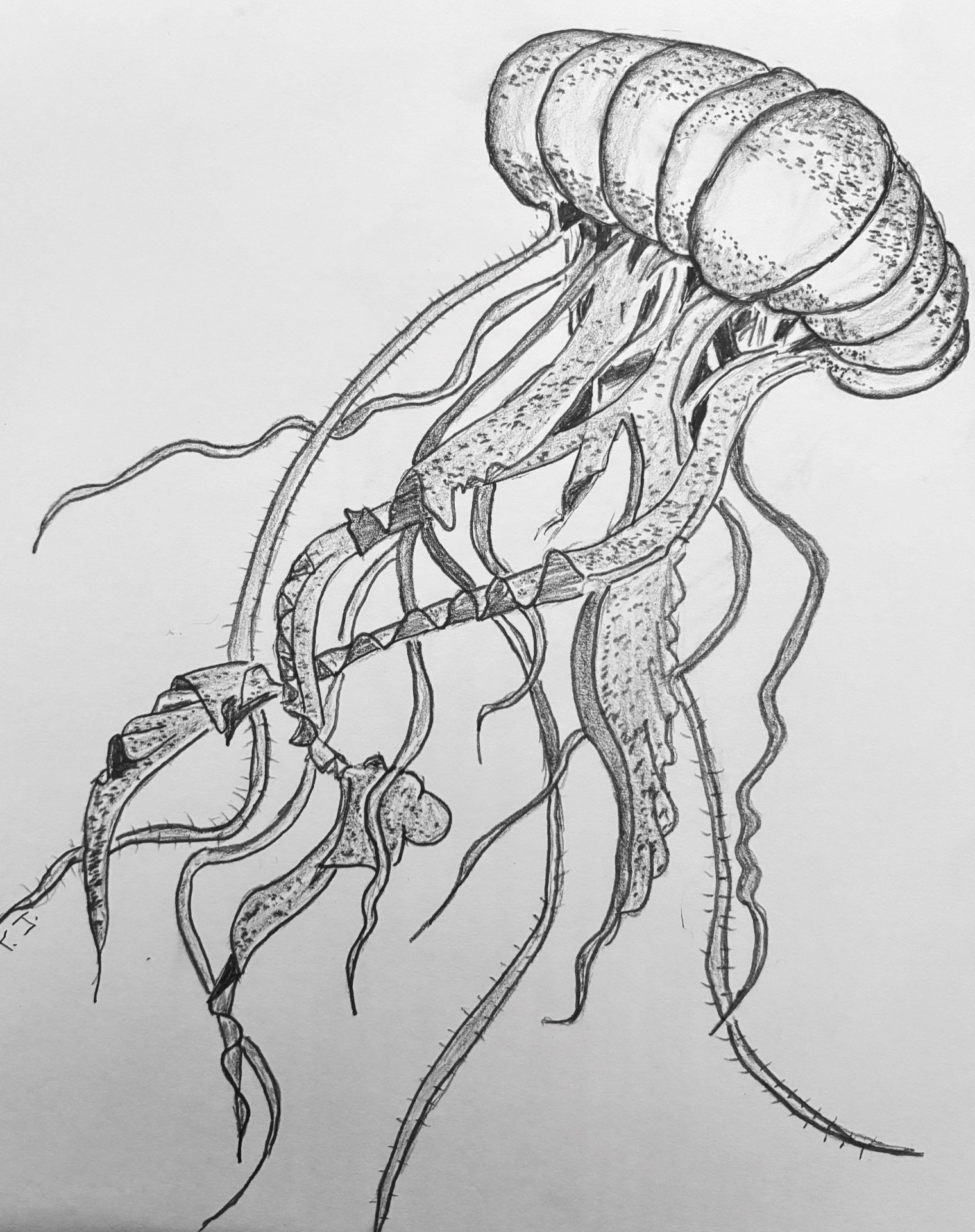 Artwork by Shem TJ J. - Texas